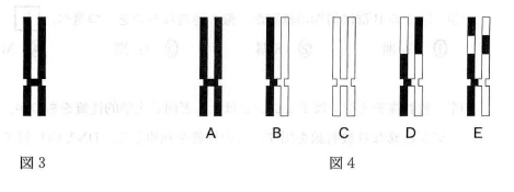 kawasakiika-2012-biology-1-4
