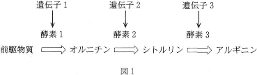 kawasakiika-2012-biology-2-4