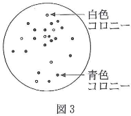 kawasakiika-2013-biology-2-6
