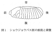 saitamaika-2012-biology-1-1.png