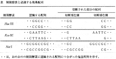 teikyo-2013-biology-3-1