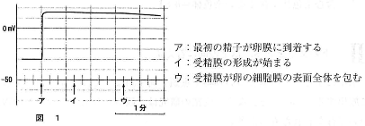 tokyojoshiika-2012-biology-2-1