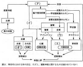 tokyojoshiika-2012-biology-3-2