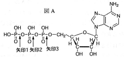 tokyojoshiika-2012-chemistry-3-1