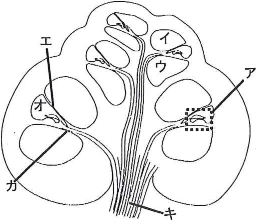 tokyojoshiika-2013-biology-1-1